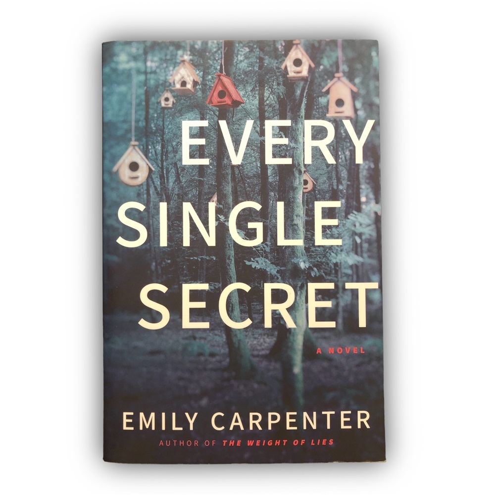 📚 4/$40 Every Single Secret: A Novel